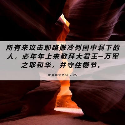 Picture 06 - 撒 迦 利 亚 书 14:16 CUVS - 所 有 来 攻 击 耶 路 撒 冷 列 国 中 - Bible Verse Picture