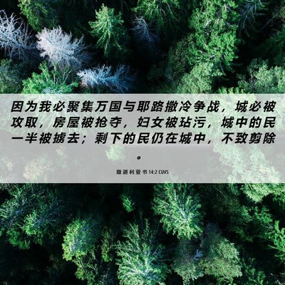 Picture 06 - 撒 迦 利 亚 书 14:2 CUVS - 因 为 我 必 聚 集 万 国 与 耶 路 撒 - Bible Verse Picture
