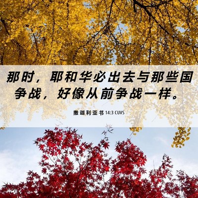 Picture 06 - 撒 迦 利 亚 书 14:3 CUVS - 那 时 ， 耶 和 华 必 出 去 与 那 些 - Bible Verse Picture