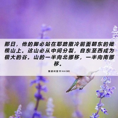 Picture 06 - 撒 迦 利 亚 书 14:4 CUVS - 那 日 ， 他 的 脚 必 站 在 耶 路 撒 - Bible Verse Picture