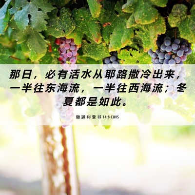 Picture 06 - 撒 迦 利 亚 书 14:8 CUVS - 那 日 ， 必 有 活 水 从 耶 路 撒 冷 - Bible Verse Picture