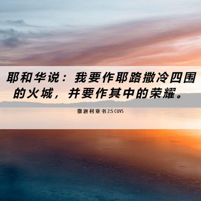 Picture 06 - 撒 迦 利 亚 书 2:5 CUVS - 耶 和 华 说 ： 我 要 作 耶 路 撒 冷 - Bible Verse Picture