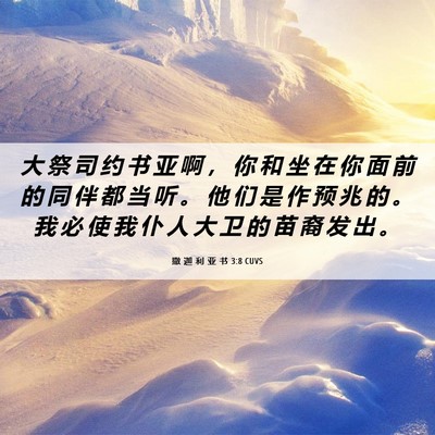 Picture 06 - 撒 迦 利 亚 书 3:8 CUVS - 大 祭 司 约 书 亚 啊 ， 你 和 坐 在 - Bible Verse Picture
