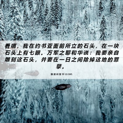 Picture 06 - 撒 迦 利 亚 书 3:9 CUVS - 看 哪 ， 我 在 约 书 亚 面 前 所 立 - Bible Verse Picture
