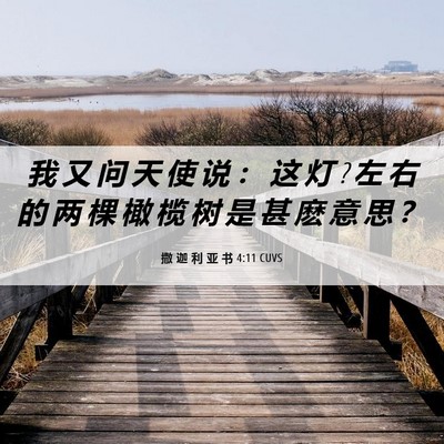 Picture 06 - 撒 迦 利 亚 书 4:11 CUVS - 我 又 问 天 使 说 ： 这 灯 ? 左 右 的 - Bible Verse Picture