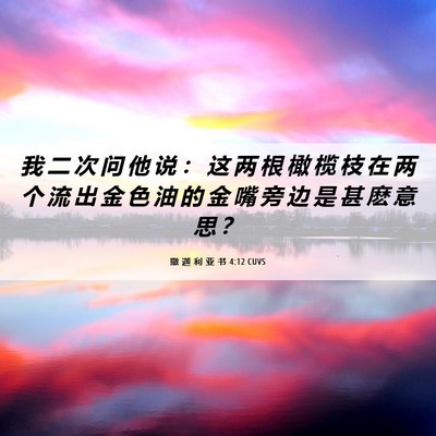 Picture 06 - 撒 迦 利 亚 书 4:12 CUVS - 我 二 次 问 他 说 ： 这 两 根 橄 榄 - Bible Verse Picture