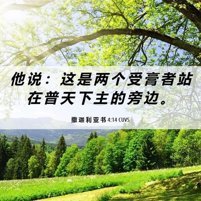Picture 06 - 撒 迦 利 亚 书 4:14 CUVS - 他 说 ： 这 是 两 个 受 膏 者 站 在 - Bible Verse Picture