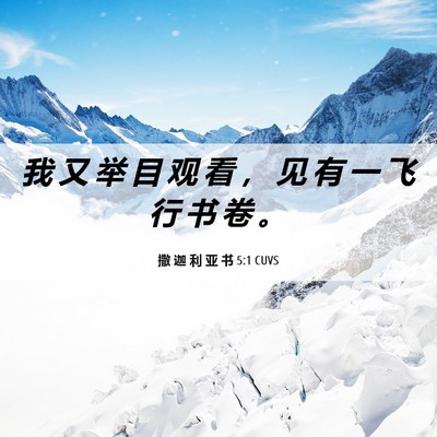 Picture 06 - 撒 迦 利 亚 书 5:1 CUVS - 我 又 举 目 观 看 ， 见 有 一 飞 行 - Bible Verse Picture