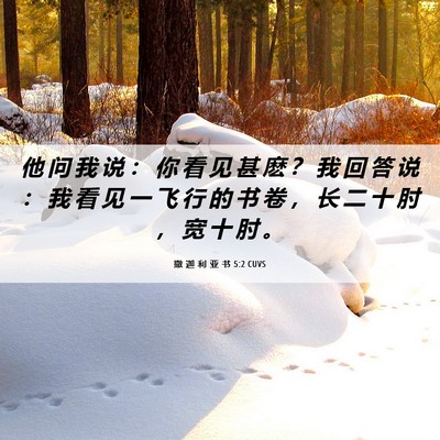 Picture 06 - 撒 迦 利 亚 书 5:2 CUVS - 他 问 我 说 ： 你 看 见 甚 麽 ？ 我 - Bible Verse Picture