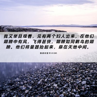Picture 06 - 撒 迦 利 亚 书 5:9 CUVS - 我 又 举 目 观 看 ， 见 有 两 个 妇 - Bible Verse Picture