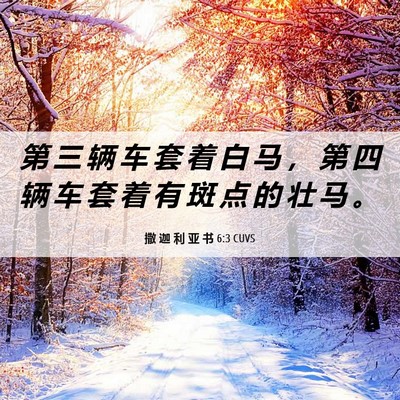 Picture 06 - 撒 迦 利 亚 书 6:3 CUVS - 第 三 辆 车 套 着 白 马 ， 第 四 辆 - Bible Verse Picture
