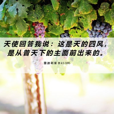 Picture 06 - 撒 迦 利 亚 书 6:5 CUVS - 天 使 回 答 我 说 ： 这 是 天 的 四 - Bible Verse Picture