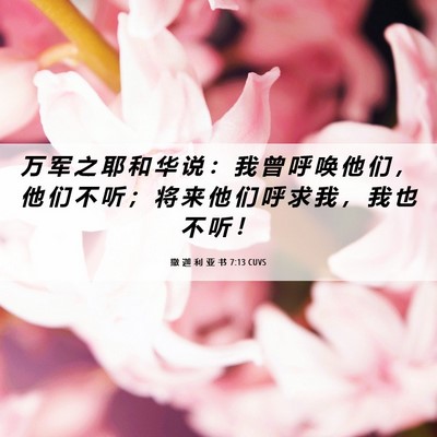 Picture 06 - 撒 迦 利 亚 书 7:13 CUVS - 万 军 之 耶 和 华 说 ： 我 曾 呼 唤 - Bible Verse Picture