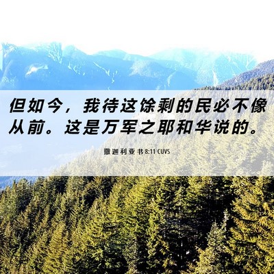 Picture 06 - 撒 迦 利 亚 书 8:11 CUVS - 但 如 今 ， 我 待 这 馀 剩 的 民 必 - Bible Verse Picture
