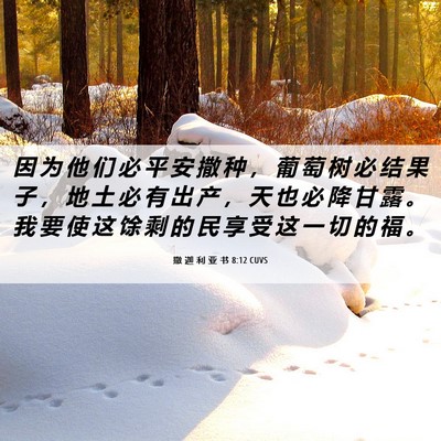 Picture 06 - 撒 迦 利 亚 书 8:12 CUVS - 因 为 他 们 必 平 安 撒 种 ， 葡 萄 - Bible Verse Picture