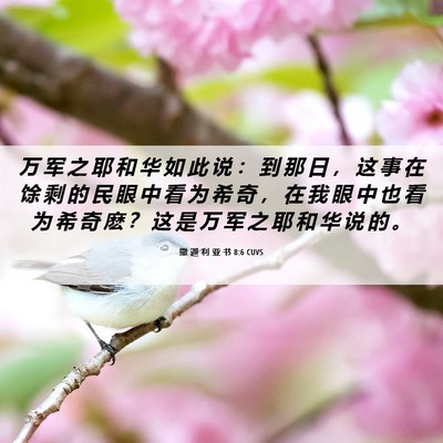 Picture 06 - 撒 迦 利 亚 书 8:6 CUVS - 万 军 之 耶 和 华 如 此 说 ： 到 那 - Bible Verse Picture