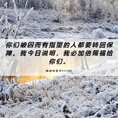 Picture 06 - 撒 迦 利 亚 书 9:12 CUVS - 你 们 被 囚 而 有 指 望 的 人 都 要 - Bible Verse Picture