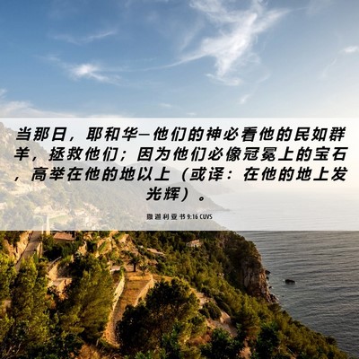 Picture 06 - 撒 迦 利 亚 书 9:16 CUVS - 当 那 日 ， 耶 和 华 ─ 他 们 的 神 - Bible Verse Picture