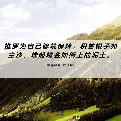 Picture 06 - 撒 迦 利 亚 书 9:3 CUVS - 推 罗 为 自 己 修 筑 保 障 ， 积 蓄 - Bible Verse Picture