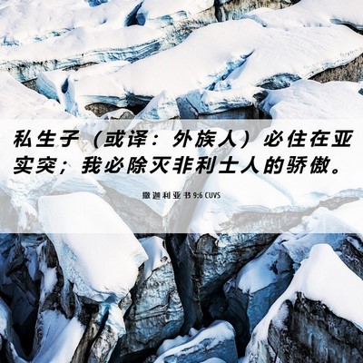 Picture 06 - 撒 迦 利 亚 书 9:6 CUVS - 私 生 子 （ 或 译 ： 外 族 人 ） 必 - Bible Verse Picture