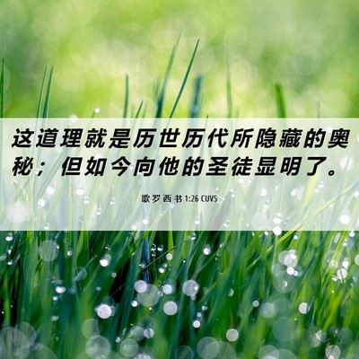 Picture 06 - 歌 罗 西 书 1:26 CUVS - 这 道 理 就 是 历 世 历 代 所 隐 藏 - Bible Verse Picture
