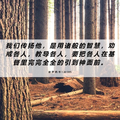 Picture 06 - 歌 罗 西 书 1:28 CUVS - 我 们 传 扬 他 ， 是 用 诸 般 的 智 - Bible Verse Picture