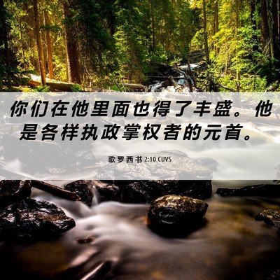 Picture 06 - 歌 罗 西 书 2:10 CUVS - 你 们 在 他 里 面 也 得 了 丰 盛 。 - Bible Verse Picture