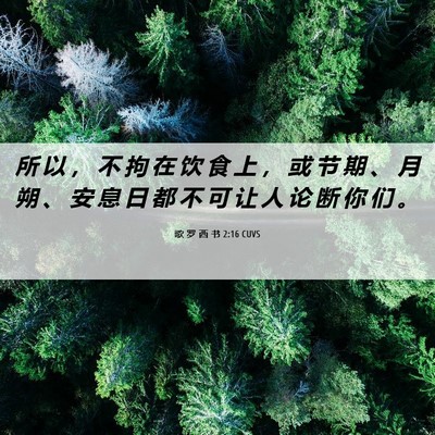 Picture 06 - 歌 罗 西 书 2:16 CUVS - 所 以 ， 不 拘 在 饮 食 上 ， 或 节 - Bible Verse Picture