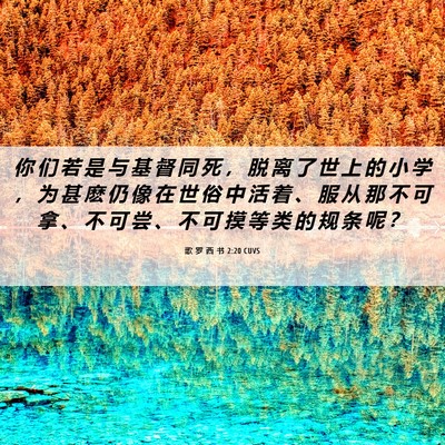 Picture 06 - 歌 罗 西 书 2:20 CUVS - 你 们 若 是 与 基 督 同 死 ， 脱 离 - Bible Verse Picture