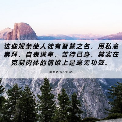Picture 06 - 歌 罗 西 书 2:23 CUVS - 这 些 规 条 使 人 徒 有 智 慧 之 名 - Bible Verse Picture