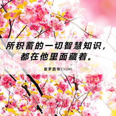 Picture 06 - 歌 罗 西 书 2:3 CUVS - 所 积 蓄 的 一 切 智 慧 知 识 ， 都 - Bible Verse Picture