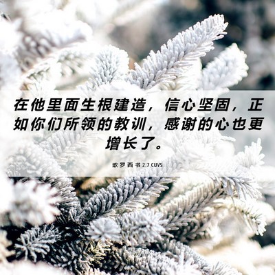 Picture 06 - 歌 罗 西 书 2:7 CUVS - 在 他 里 面 生 根 建 造 ， 信 心 坚 - Bible Verse Picture