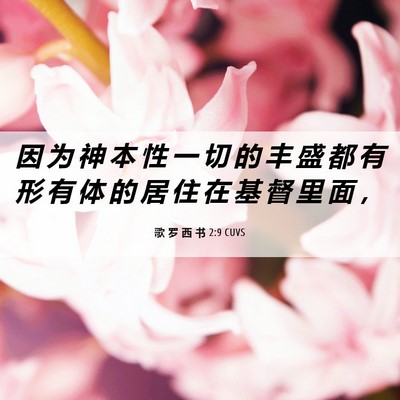 Picture 06 - 歌 罗 西 书 2:9 CUVS - 因 为 神 本 性 一 切 的 丰 盛 都 有 - Bible Verse Picture