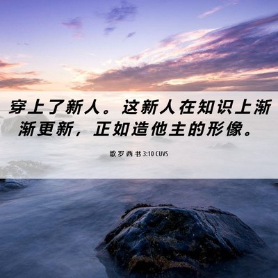Picture 06 - 歌 罗 西 书 3:10 CUVS - 穿 上 了 新 人 。 这 新 人 在 知 识 - Bible Verse Picture