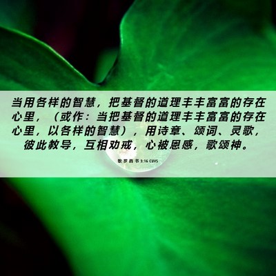 Picture 06 - 歌 罗 西 书 3:16 CUVS - 当 用 各 样 的 智 慧 ， 把 基 督 的 - Bible Verse Picture