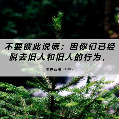 Picture 06 - 歌 罗 西 书 3:9 CUVS - 不 要 彼 此 说 谎 ； 因 你 们 已 经 - Bible Verse Picture