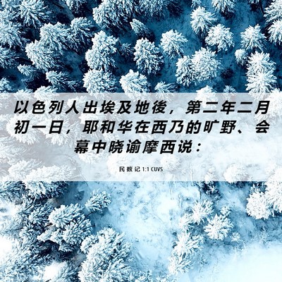 Picture 06 - 民 数 记 1:1 CUVS - 以 色 列 人 出 埃 及 地 後 ， 第 二 - Bible Verse Picture