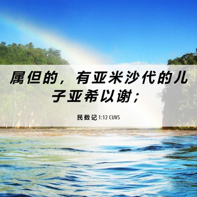 Picture 06 - 民 数 记 1:12 CUVS - 属 但 的 ， 有 亚 米 沙 代 的 儿 子 - Bible Verse Picture