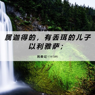 Picture 06 - 民 数 记 1:14 CUVS - 属 迦 得 的 ， 有 丢 珥 的 儿 子 以 - Bible Verse Picture