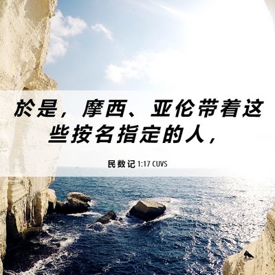 Picture 06 - 民 数 记 1:17 CUVS - 於 是 ， 摩 西 、 亚 伦 带 着 这 些 - Bible Verse Picture