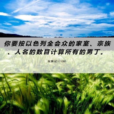 Picture 06 - 民 数 记 1:2 CUVS - 你 要 按 以 色 列 全 会 众 的 家 室 - Bible Verse Picture