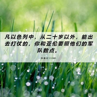 Picture 06 - 民 数 记 1:3 CUVS - 凡 以 色 列 中 ， 从 二 十 岁 以 外 - Bible Verse Picture