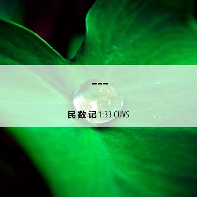 Picture 06 - 民 数 记 1:33 CUVS -  - Bible Verse Picture