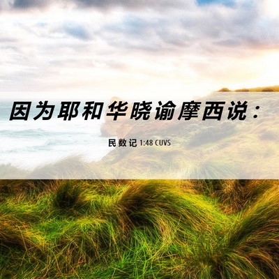 Picture 06 - 民 数 记 1:48 CUVS - 因 为 耶 和 华 晓 谕 摩 西 说 - Bible Verse Picture