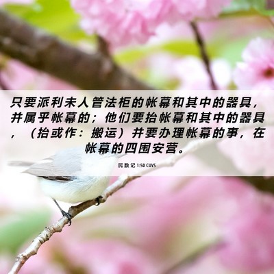 Picture 06 - 民 数 记 1:50 CUVS - 只 要 派 利 未 人 管 法 柜 的 帐 幕 - Bible Verse Picture