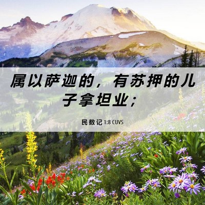 Picture 06 - 民 数 记 1:8 CUVS - 属 以 萨 迦 的 ， 有 苏 押 的 儿 子 - Bible Verse Picture