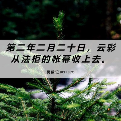 Picture 06 - 民 数 记 10:11 CUVS - 第 二 年 二 月 二 十 日 ， 云 彩 从 - Bible Verse Picture