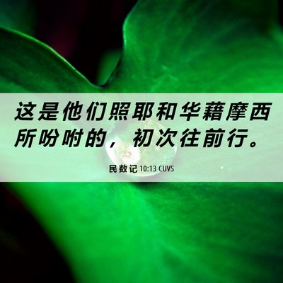 Picture 06 - 民 数 记 10:13 CUVS - 这 是 他 们 照 耶 和 华 藉 摩 西 所 - Bible Verse Picture