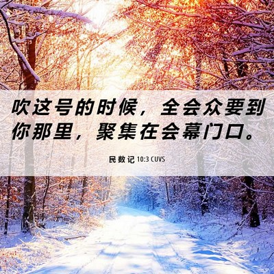 Picture 06 - 民 数 记 10:3 CUVS - 吹 这 号 的 时 候 ， 全 会 众 要 到 - Bible Verse Picture