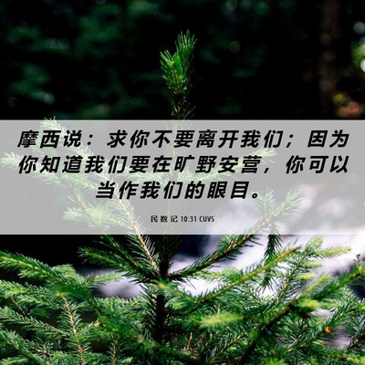 Picture 06 - 民 数 记 10:31 CUVS - 摩 西 说 ： 求 你 不 要 离 开 我 们 - Bible Verse Picture